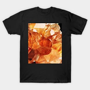 Stocksom Gaze 1 T-Shirt